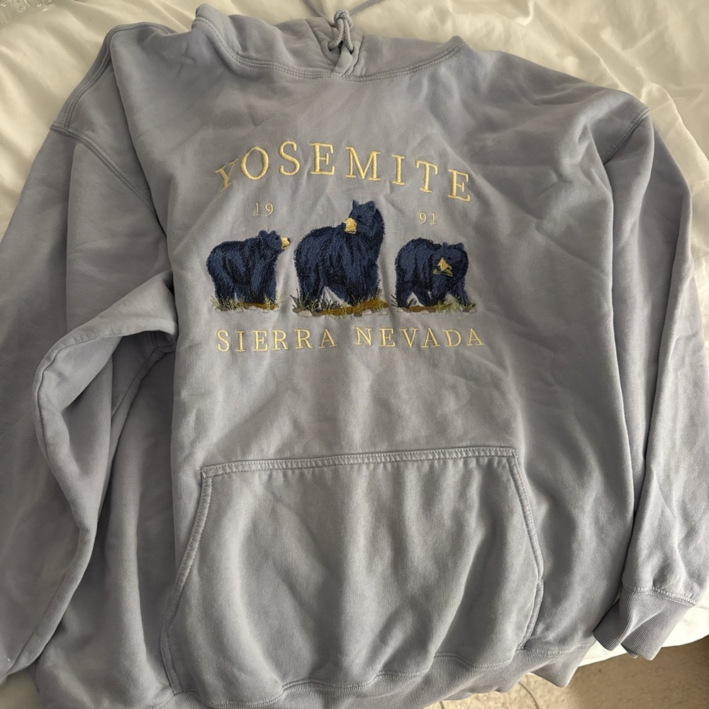 Brandy Melville Light Blue Yosemite Hoodie